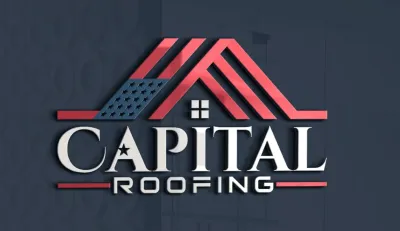 I will do modern 3d business logo design or redesign for your company