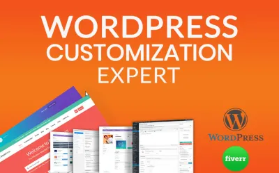 I will install wordpress theme and plugin, wordpress theme customization