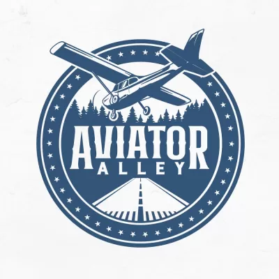 create wonderful aviation logo design