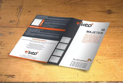 I will design professional business and corporate flyer