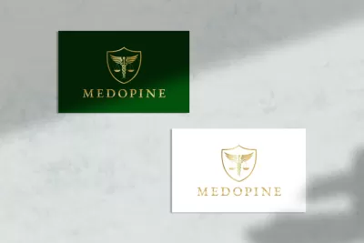 I will create professional logo for legal, attorney or law firm