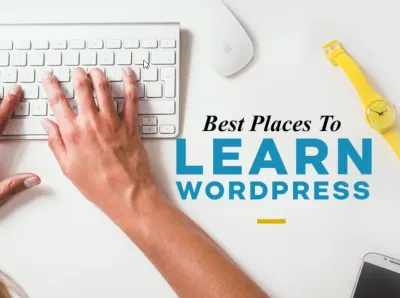 I will install wordpress theme, design website, and help you buy the best theme