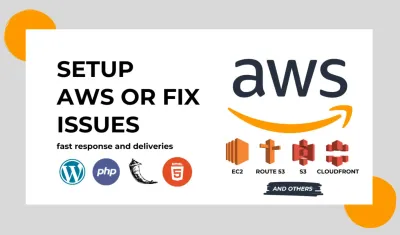 I will setup wordpress in AWS lightsail plesk with SSL, Dillpo