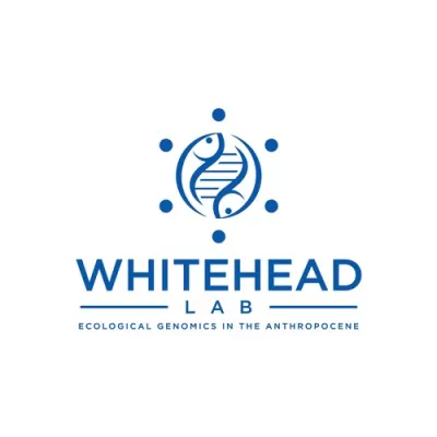 I will design coaching, education, university logo