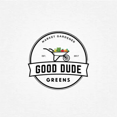 I will make a high quality food and drink logo design