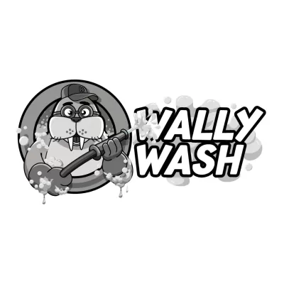 I will do luxury auto detailing and car wash logo