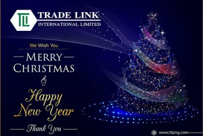 I will do professional business card design christmas card design