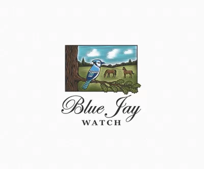 I will create bird logo design for you