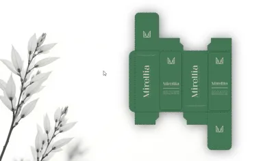 I will design a modern and luxury minimalist logo