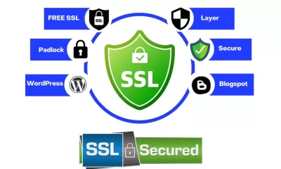 I will set up and install SSL certificates, and fix wordpress errors and bugs