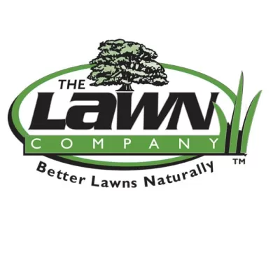 I will give a professional and high quality company logo design