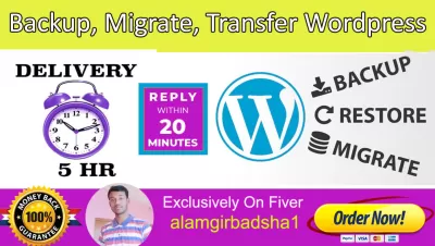 I will backup, migration, transfer big wordpress website in 2 hours