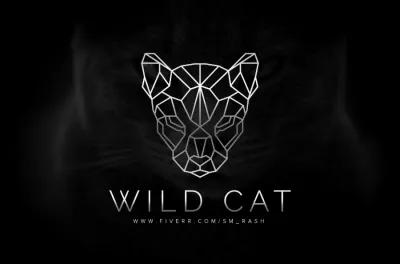 I will create a clever minimalist geometric logo