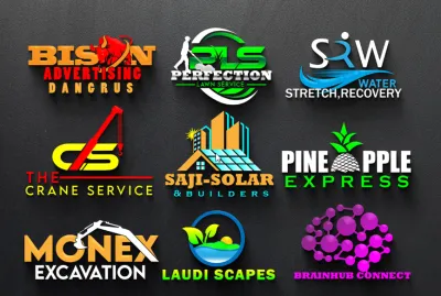 I will do professional logo design for your business, company, brand or website