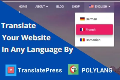 I will translate wordpress by polylang , translatepress pro plugin